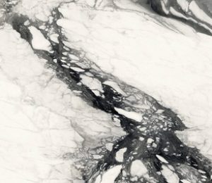 Elegant White Elegant White