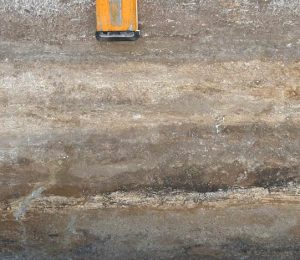 Mahogany Travertine $750